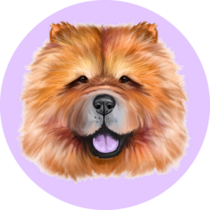 Chow Chow Face Portrait Sticker