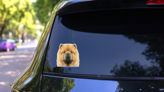 Chow Chow Face Sticker on a Rear Car Window (New) example