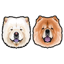 Chow Chow Faces Sticker