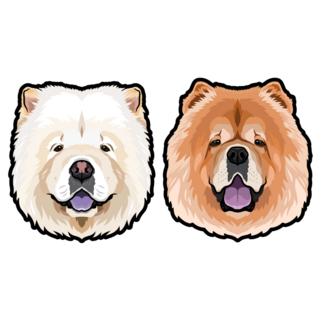 Chow Chow Faces Sticker