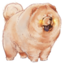 Chow Chow Illustration Sticker