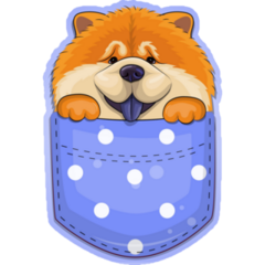 Chow Chow In Pocket Sticker