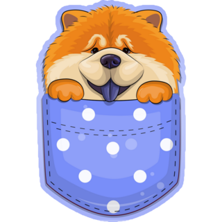 Chow Chow In Pocket Sticker