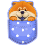 Chow Chow In Pocket Sticker