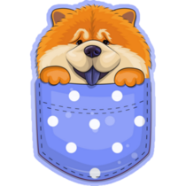 Chow Chow In Pocket Sticker