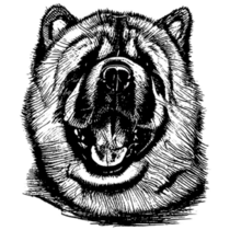 Chow Chow Line Drawing Sticker