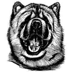 Chow Chow Line Drawing Sticker