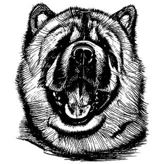 Chow Chow Line Drawing Sticker