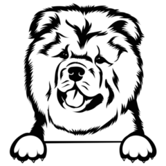 Chow Chow Paws Sticker