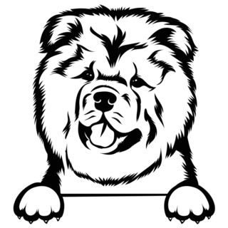 Chow Chow Paws Sticker