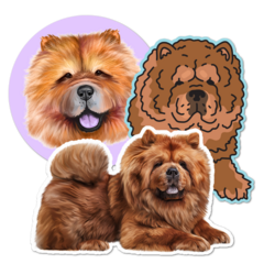 Chow Chow Thumbnail
