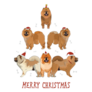 Chow Chow Xmas Tree Sticker