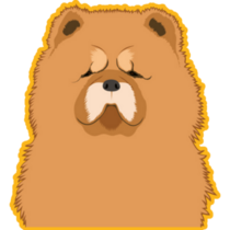 Chow Chow, Yellow Sticker
