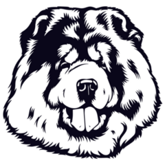 Chow Head Sketch Sticker