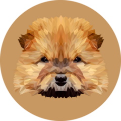 Chow Low Poly Sticker