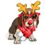 Christmas Beagle Pup Sticker