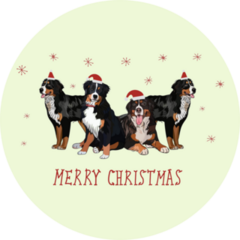 Christmas Bernese Dogs Sticker 