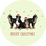 Christmas Bernese Dogs Sticker 