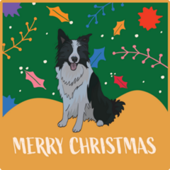 Christmas Card Border Collie Sticker