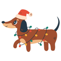 Christmas Dachshund Smile Sticker