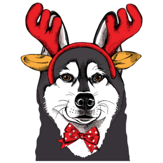 Christmas Husky Sticker