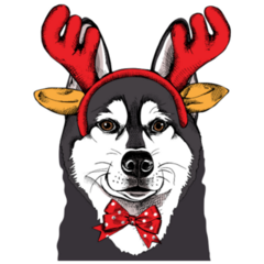 Christmas Husky Sticker