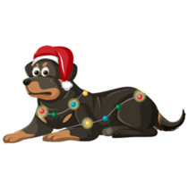 Christmas Rottweiler Sticker