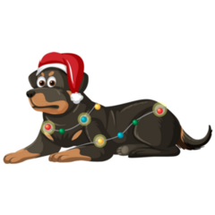 Christmas Rottweiler Sticker