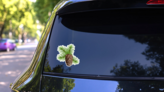 Christmas Tree Branch Hanging Pine Cone Sticker on a Rear Car Window (New) example