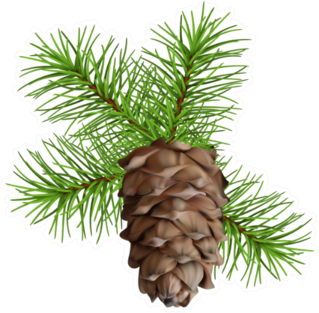 Christmas Tree Branch Hanging Pine Cone Sticker