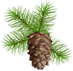 Christmas Tree Branch Hanging Pine Cone Sticker