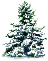 Christmas Tree Covered Snow In Winter Sticker