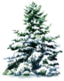 Christmas Tree Covered Snow In Winter Sticker