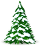 Christmas Tree In Winter With Snow Sticker