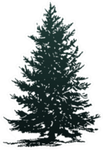 Christmas Tree Silhouette Sticker