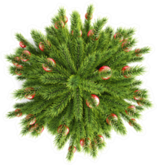 Christmas Tree With Christmas Balls Sticker