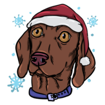 Christmas Vizsla Sticker