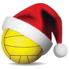 Christmas Water Polo Sticker