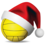 Christmas Water Polo Sticker