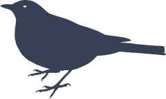 Chubby Partridge Sticker