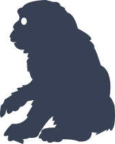 Chunky Monkey Sticker