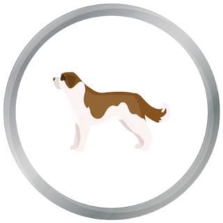 Circle Bernard Sticker