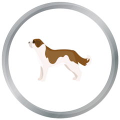 Circle Bernard Sticker