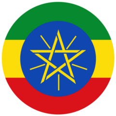 Circle Ethiopia National Sticker