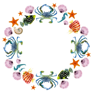 Circle Marine Frame Sticker