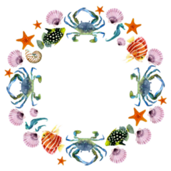 Circle Marine Frame Sticker