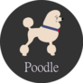 Circle Poodle Sticker