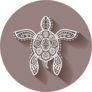 Circle Tribal Turtle Design Sticker