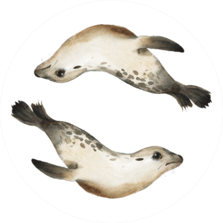 Circle With Painted Sea Lions Sticker