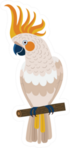 Citron-crested Cockatoo Parrot Sitting On Branch Sticker